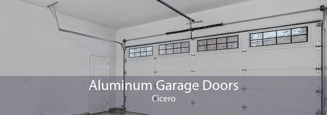 Aluminum Garage Doors Cicero