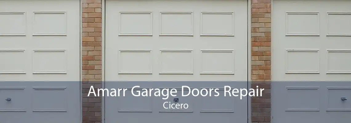 Amarr Garage Doors Repair Cicero