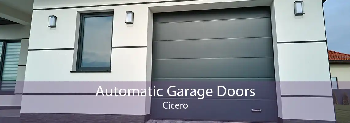 Automatic Garage Doors Cicero