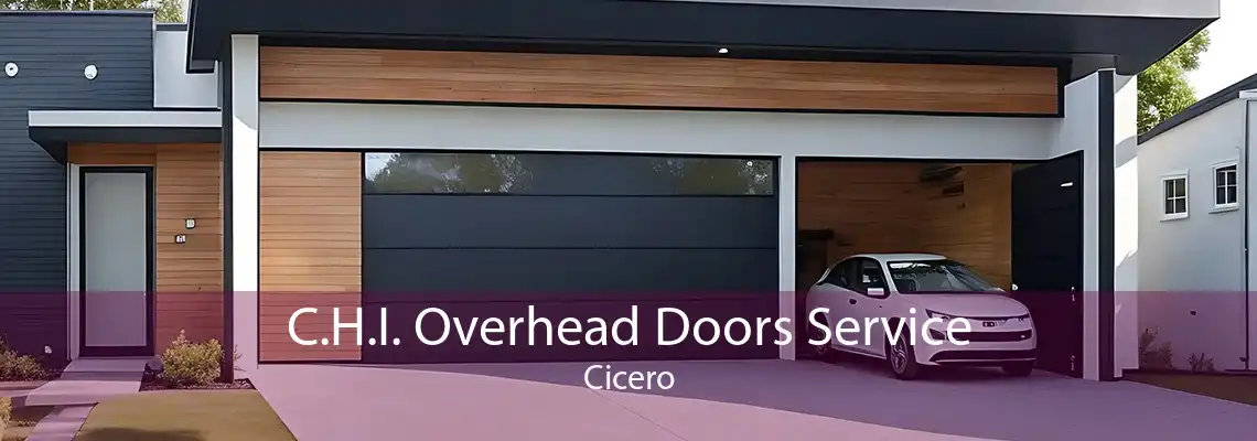 C.H.I. Overhead Doors Service Cicero