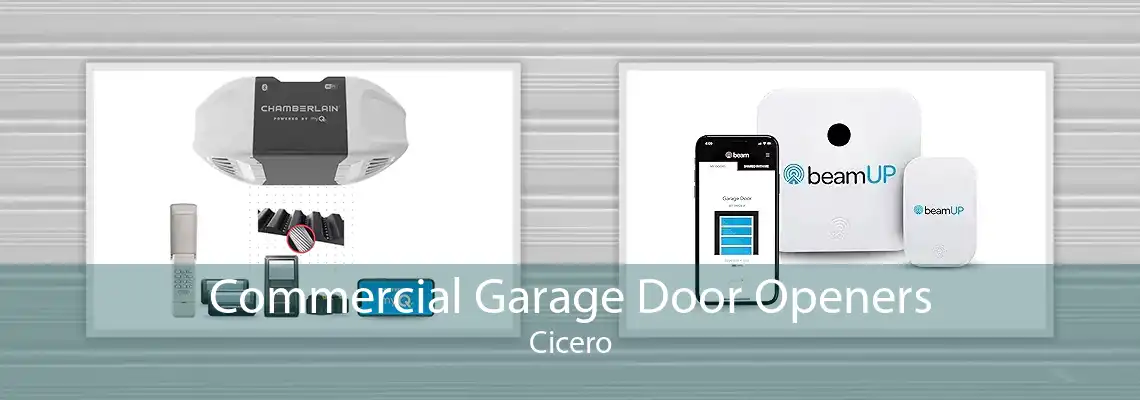 Commercial Garage Door Openers Cicero