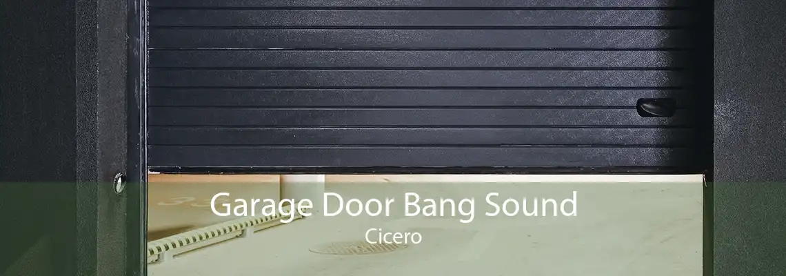 Garage Door Bang Sound Cicero