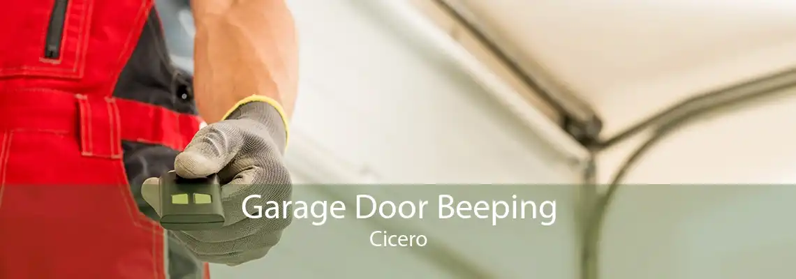 Garage Door Beeping Cicero