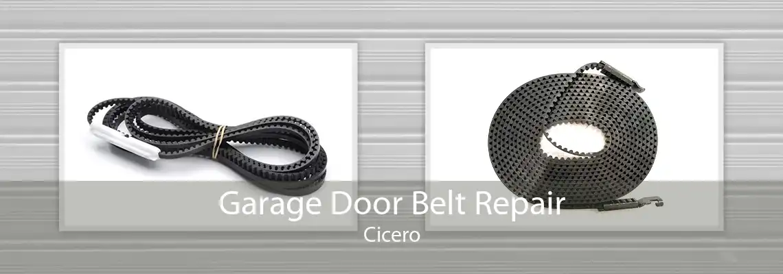 Garage Door Belt Repair Cicero