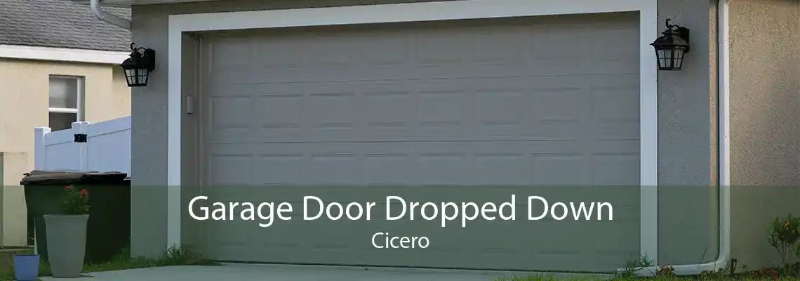 Garage Door Dropped Down Cicero