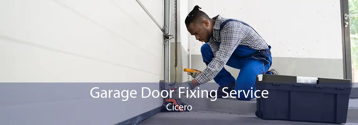 Garage Door Fixing Service Cicero