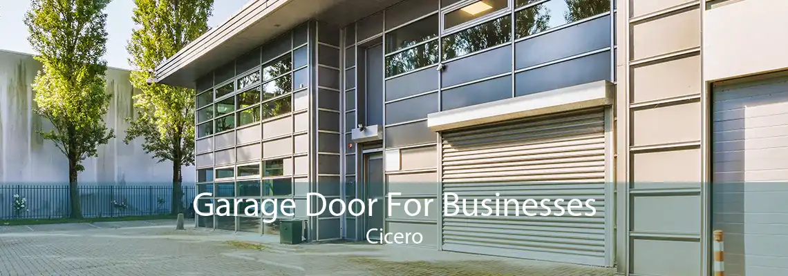 Garage Door For Businesses Cicero