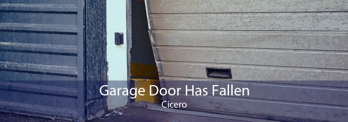 Garage Door Has Fallen Cicero