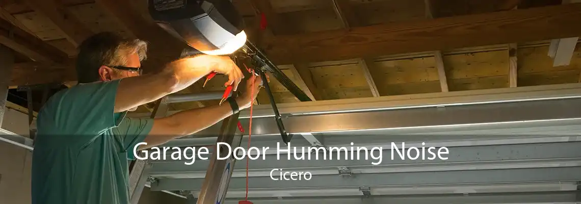 Garage Door Humming Noise Cicero