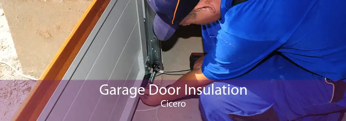 Garage Door Insulation Cicero