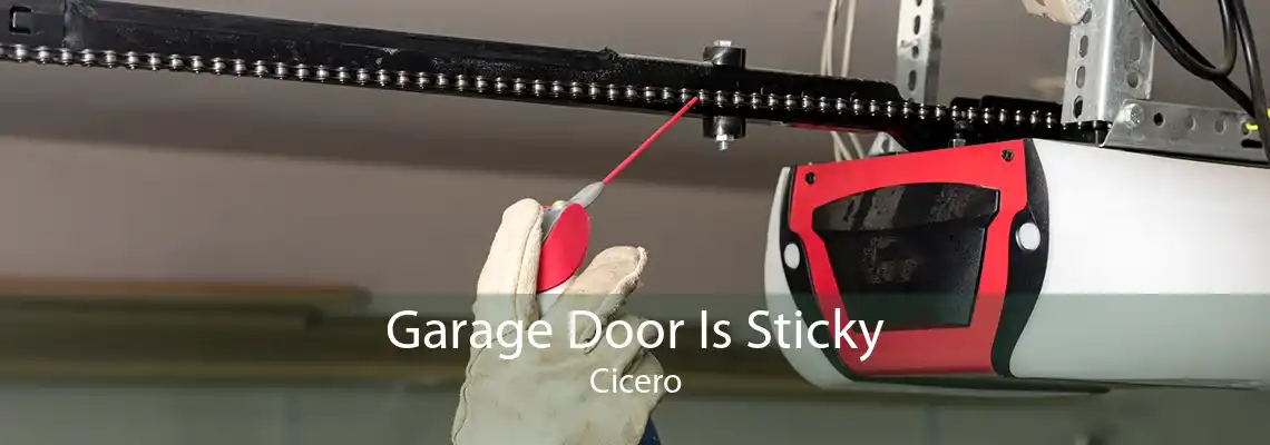 Garage Door Is Sticky Cicero
