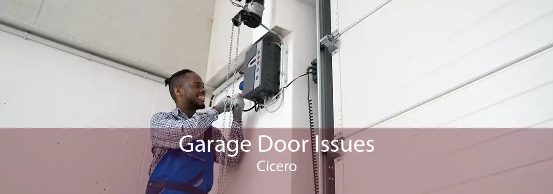 Garage Door Issues Cicero