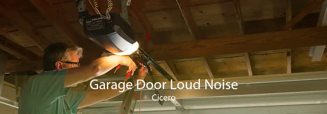 Garage Door Loud Noise Cicero
