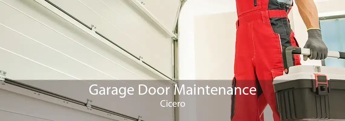 Garage Door Maintenance Cicero