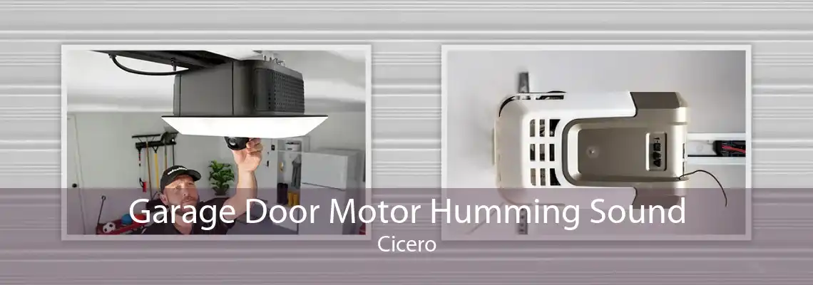 Garage Door Motor Humming Sound Cicero