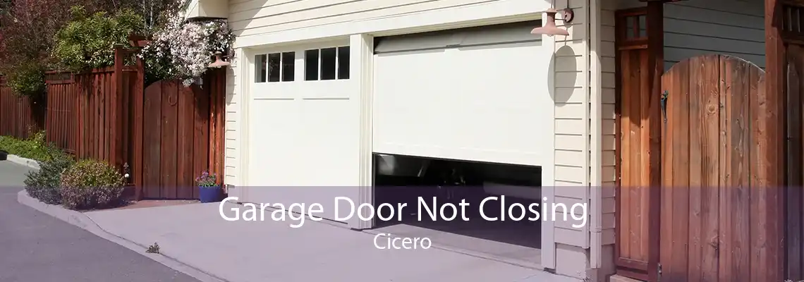 Garage Door Not Closing Cicero