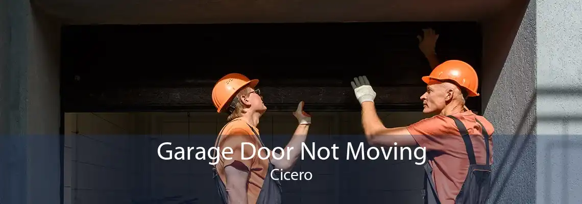 Garage Door Not Moving Cicero