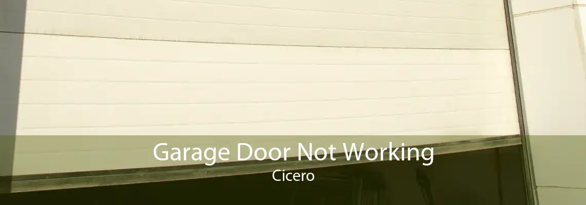 Garage Door Not Working Cicero