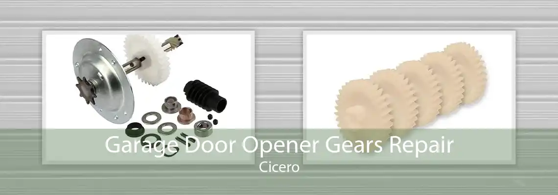Garage Door Opener Gears Repair Cicero