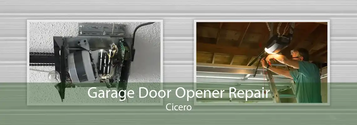 Garage Door Opener Repair Cicero