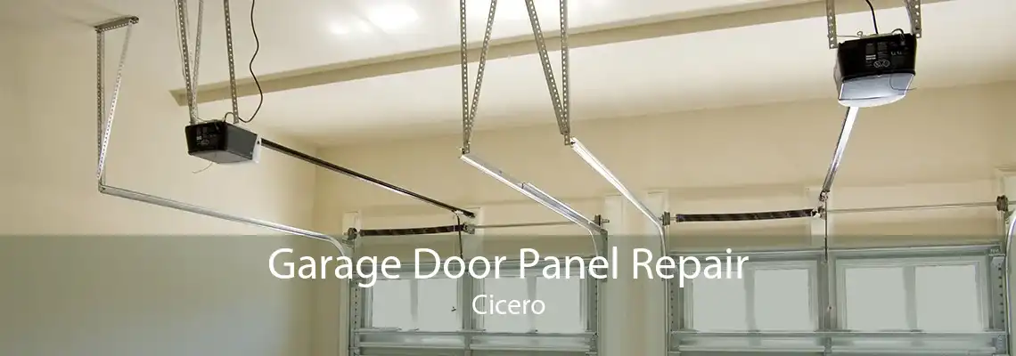 Garage Door Panel Repair Cicero