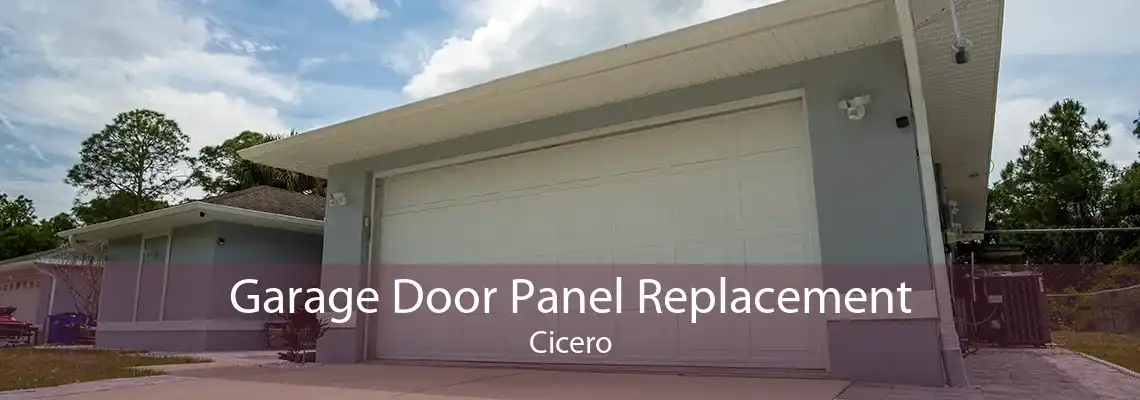 Garage Door Panel Replacement Cicero