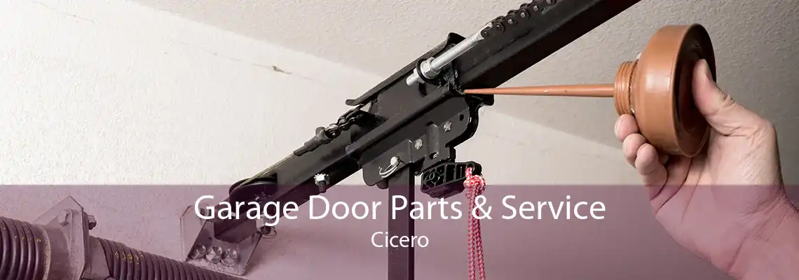 Garage Door Parts & Service Cicero