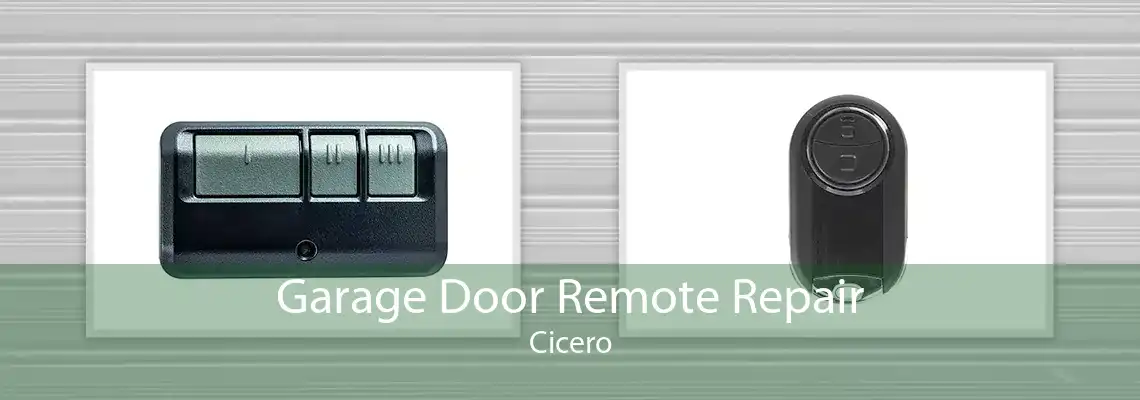 Garage Door Remote Repair Cicero