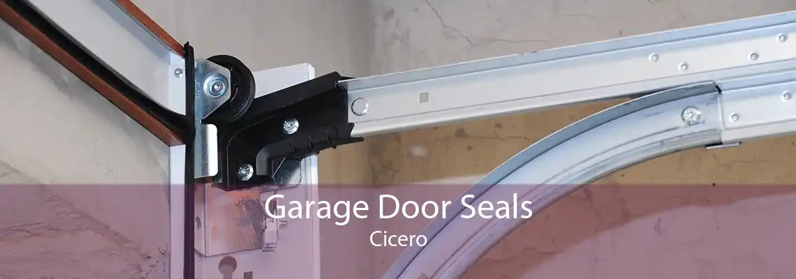 Garage Door Seals Cicero