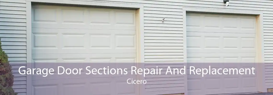Garage Door Sections Repair And Replacement Cicero