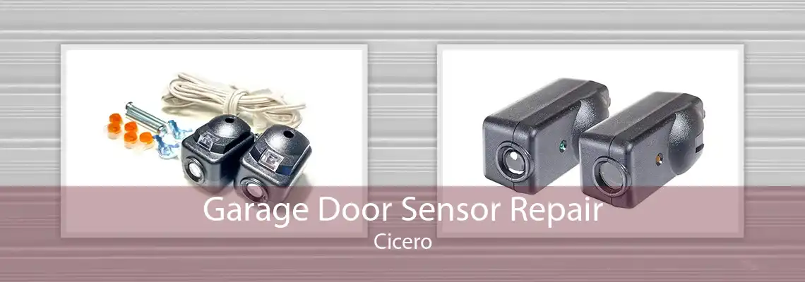 Garage Door Sensor Repair Cicero
