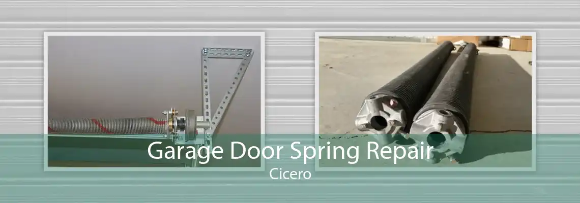 Garage Door Spring Repair Cicero