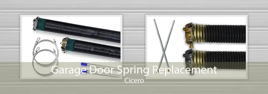 Garage Door Spring Replacement Cicero