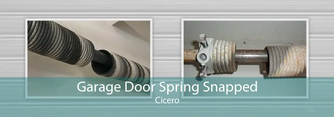 Garage Door Spring Snapped Cicero