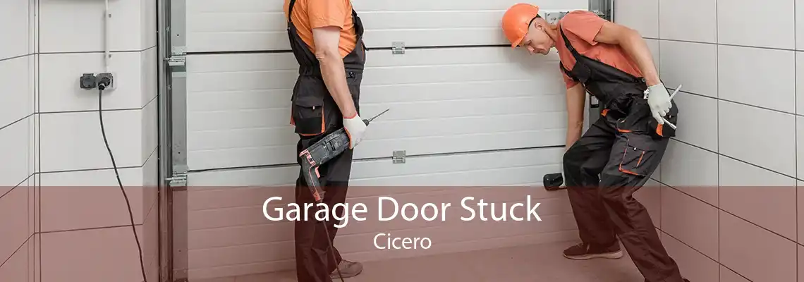 Garage Door Stuck Cicero