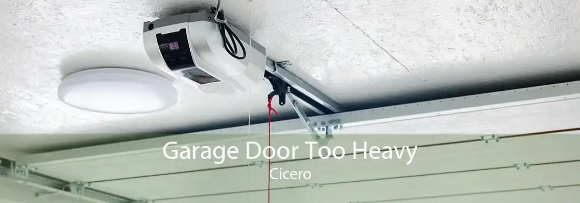 Garage Door Too Heavy Cicero