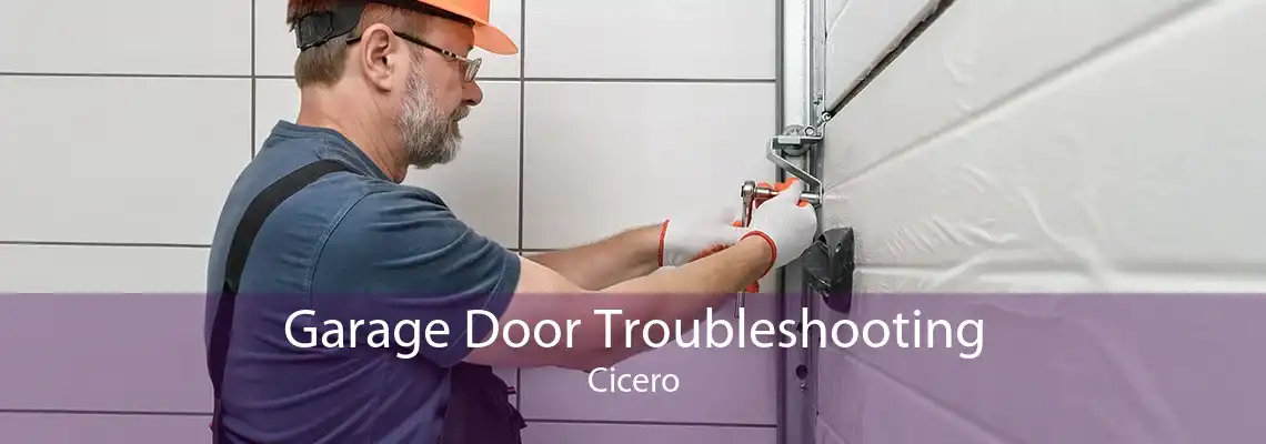 Garage Door Troubleshooting Cicero