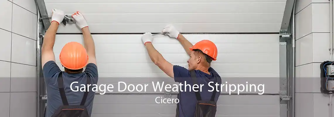 Garage Door Weather Stripping Cicero