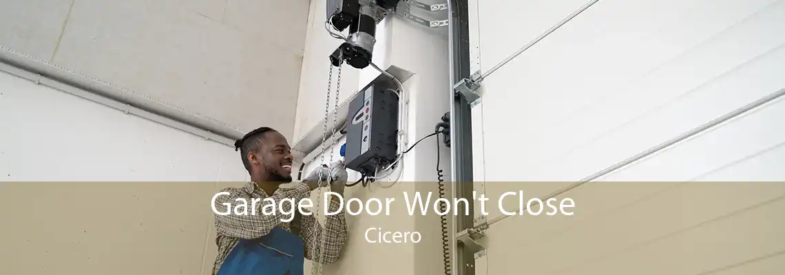 Garage Door Won't Close Cicero