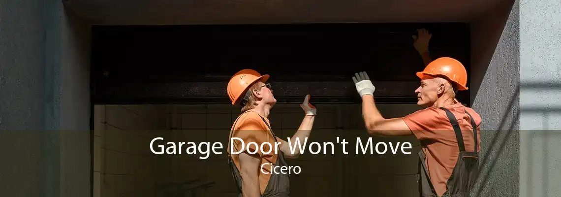 Garage Door Won't Move Cicero