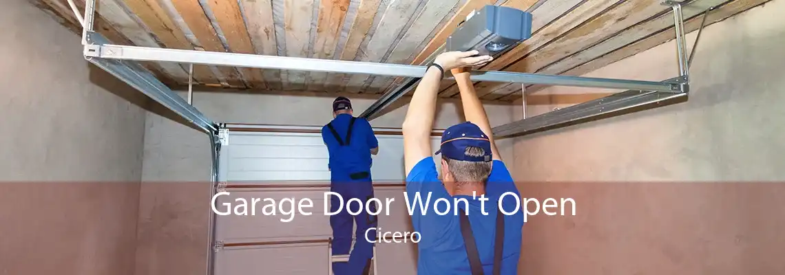 Garage Door Won't Open Cicero