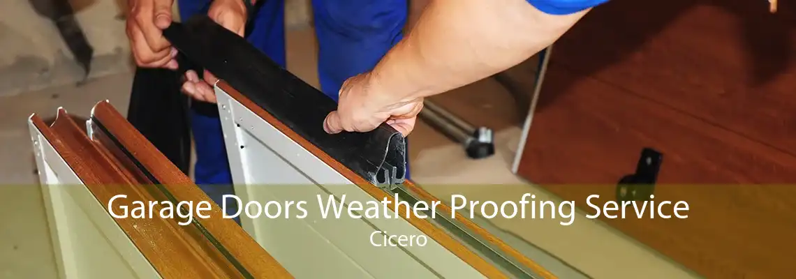 Garage Doors Weather Proofing Service Cicero