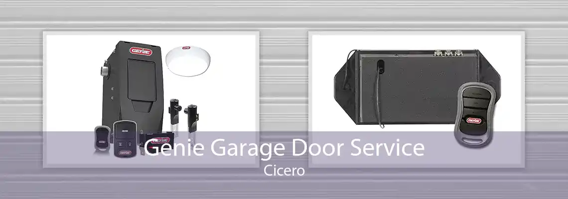 Genie Garage Door Service Cicero