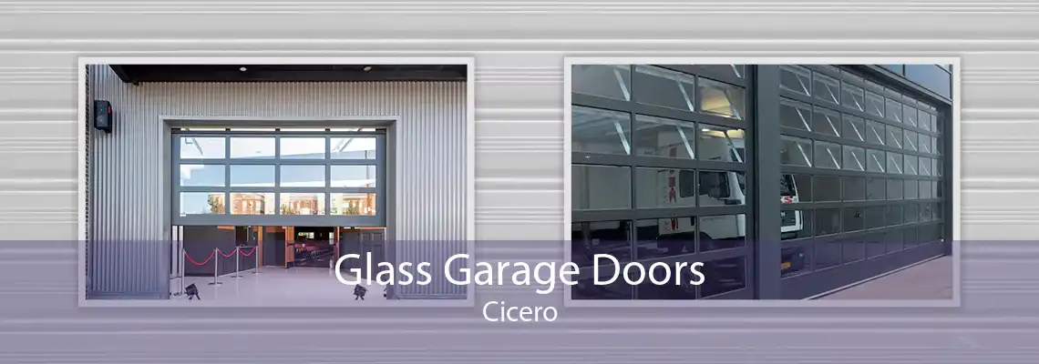 Glass Garage Doors Cicero