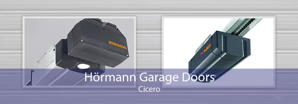 Hörmann Garage Doors Cicero