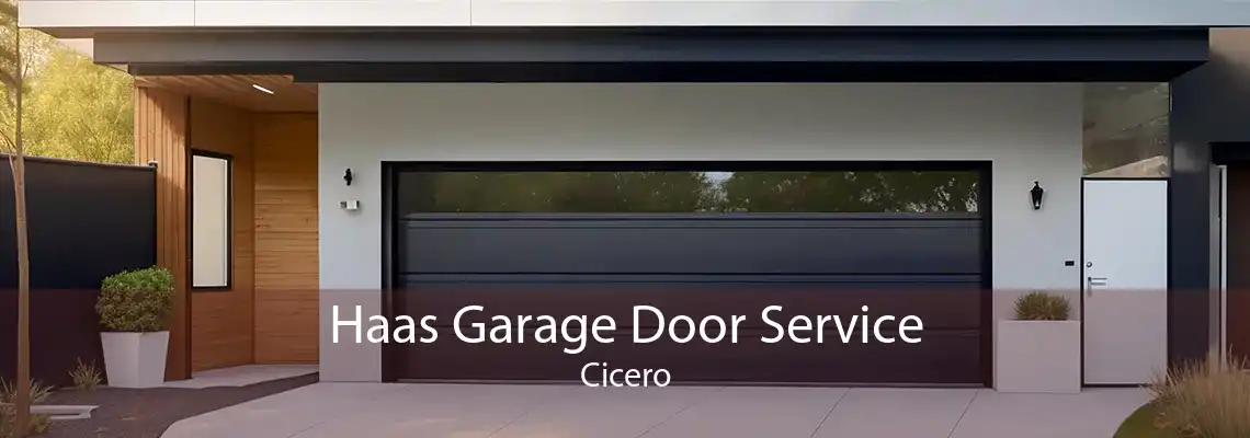 Haas Garage Door Service Cicero