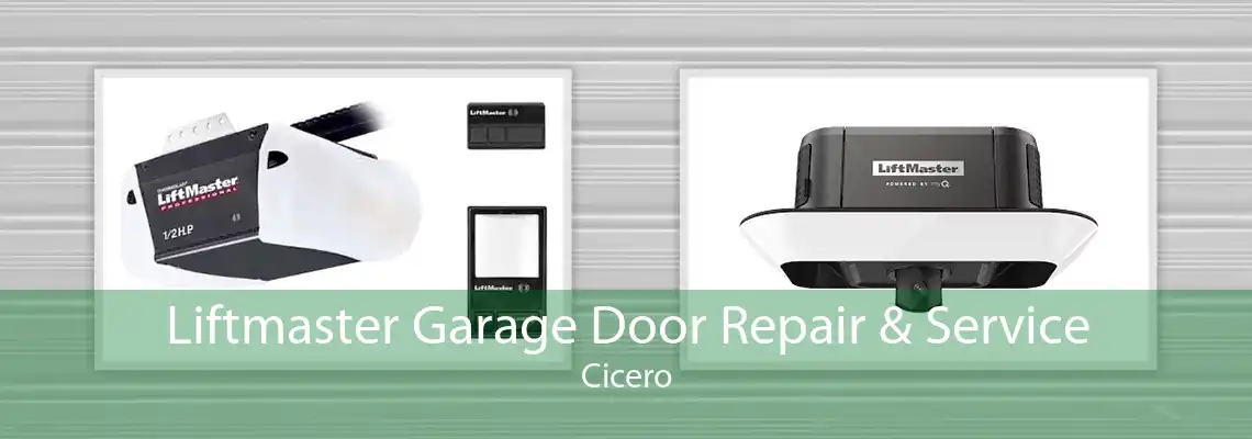 Liftmaster Garage Door Repair & Service Cicero