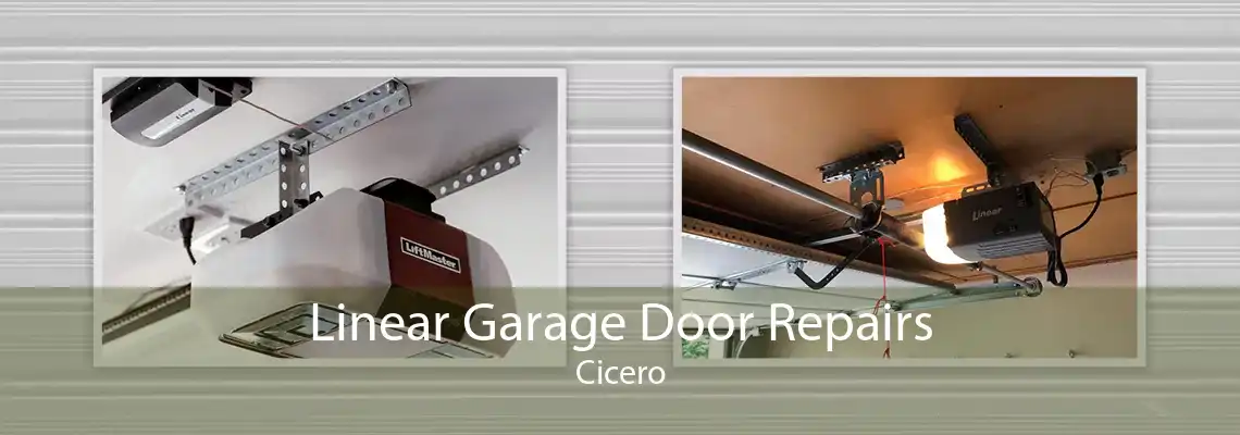 Linear Garage Door Repairs Cicero