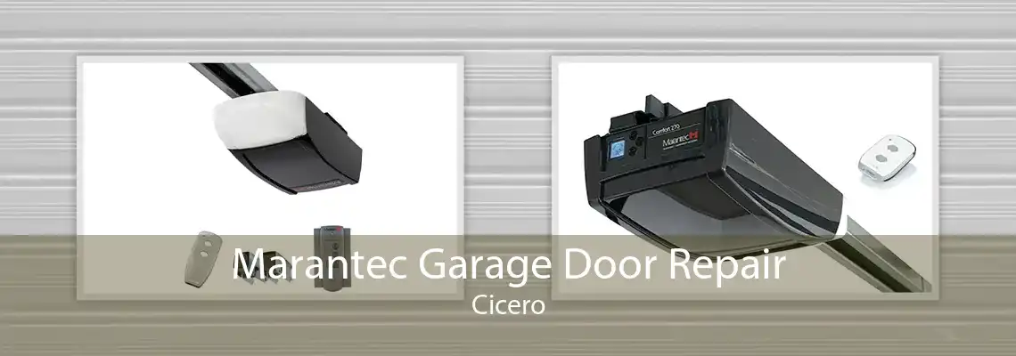 Marantec Garage Door Repair Cicero
