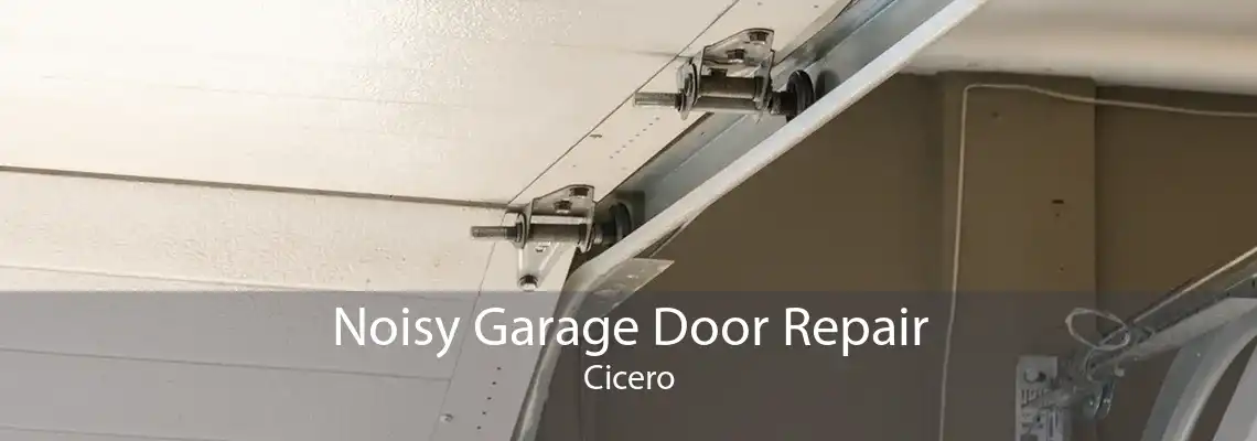 Noisy Garage Door Repair Cicero